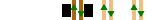 [=NS= nsns#]